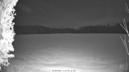 Image from 2025-03-08