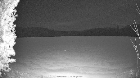 Image from 2025-03-08