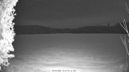 Image from 2025-03-09