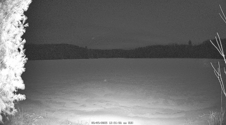 Image from 2025-03-09