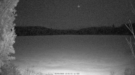 Image from 2025-03-09