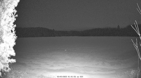 Image from 2025-03-09