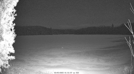 Image from 2025-03-09