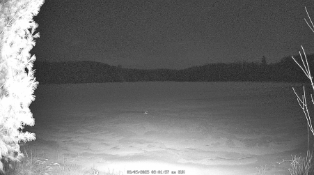 Image from 2025-03-09