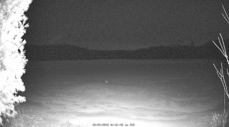 Image from 2025-03-09