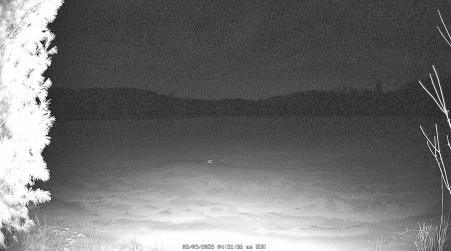 Image from 2025-03-09