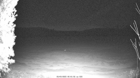 Image from 2025-03-09
