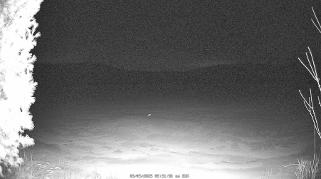 Image from 2025-03-09