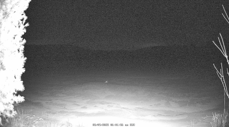 Image from 2025-03-09