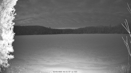Image from 2025-03-09