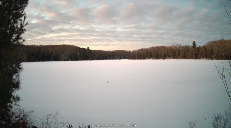 Image from 2025-03-09