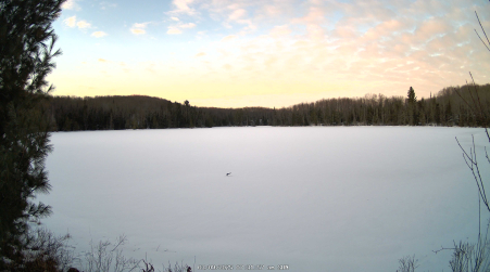 Image from 2025-03-09