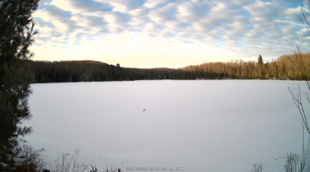 Image from 2025-03-09