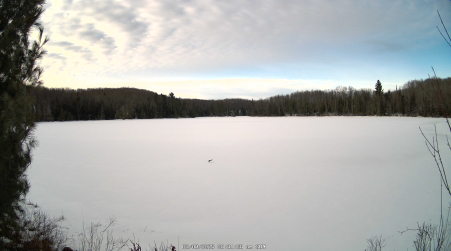 Image from 2025-03-09