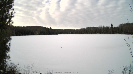 Image from 2025-03-09