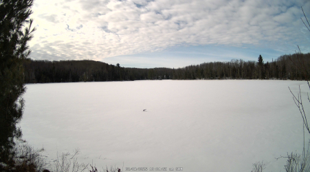 Image from 2025-03-09
