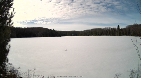 Image from 2025-03-09