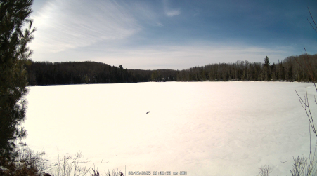 Image from 2025-03-09