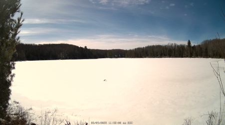 Image from 2025-03-09
