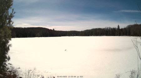 Image from 2025-03-09