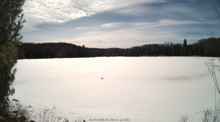 Image from 2025-03-09