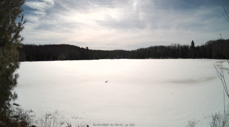 Image from 2025-03-09