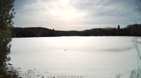 Image from 2025-03-09