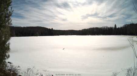 Image from 2025-03-09