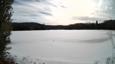 Image from 2025-03-09