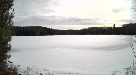 Image from 2025-03-09