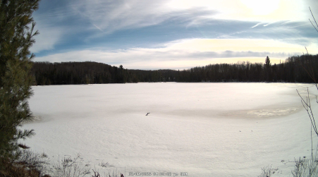 Image from 2025-03-09