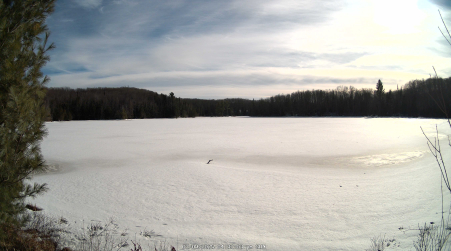 Image from 2025-03-09