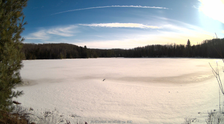 Image from 2025-03-09