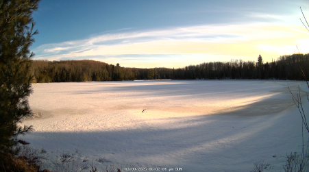 Image from 2025-03-09