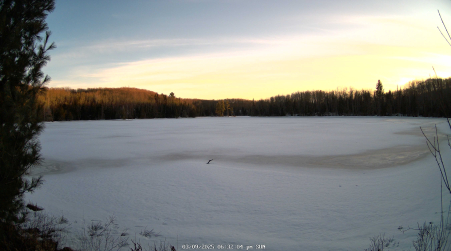 Image from 2025-03-09
