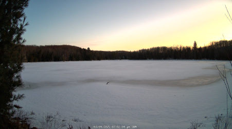 Image from 2025-03-09