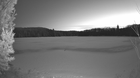 Image from 2025-03-09