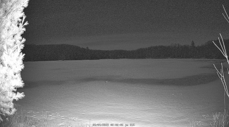 Image from 2025-03-09