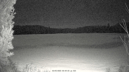 Image from 2025-03-09