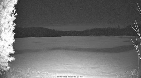 Image from 2025-03-09