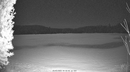 Image from 2025-03-09