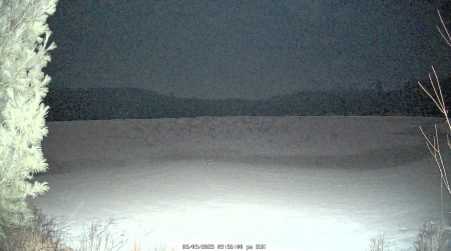 Image from 2025-03-09