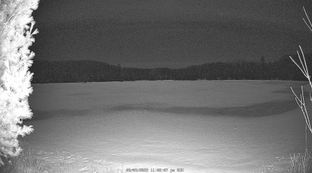 Image from 2025-03-09