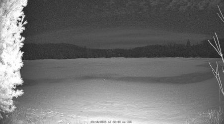Image from 2025-03-10