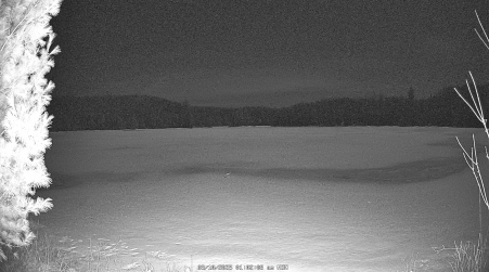 Image from 2025-03-10