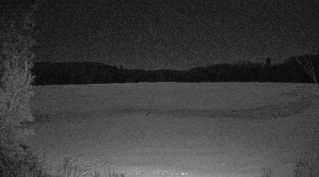 Image from 2025-03-10