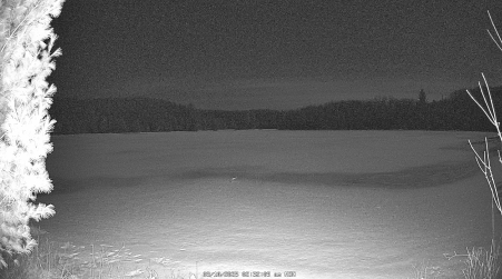 Image from 2025-03-10