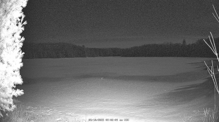 Image from 2025-03-10