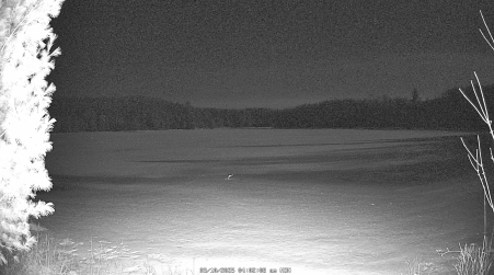 Image from 2025-03-10