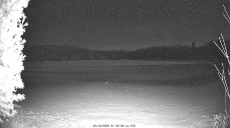Image from 2025-03-10